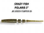 Crazy Fish Polaris 55mm/2ks-42